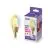 WiZ Smart LED E14 Candela Filamento Oro 5W 370lm | Miglior Resa Cromatica - Dimmerabile - Sostitutiva 25W